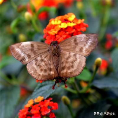 《繁花》《狂飙》等16部剧获飞天奖优秀电视剧奖