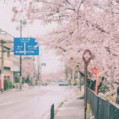 走进临港新城，上海芭蕾舞团即将起舞《白毛女》