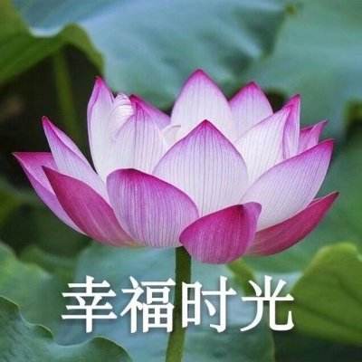 五一劳动节“致敬劳动者”数字作品免费领取