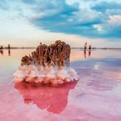 《生物安全法案》威胁美国医药供应链？