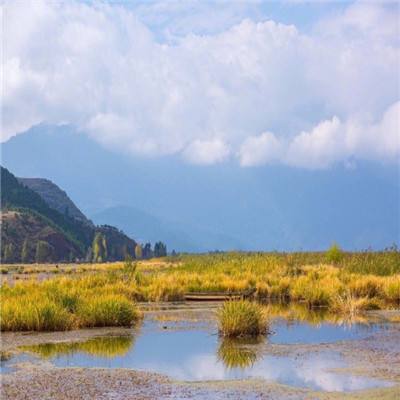 【境内疫情观察】全国新增85例本土病例（2月23日）