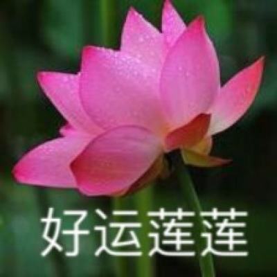 伊朗外长批评美筹划“反伊峰会”