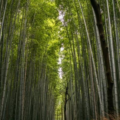 组织人员转移、关闭观潮点……多地细化措施全力应对台风“普拉桑”