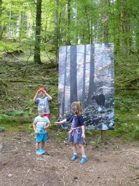 2ème exposition photos - Les animaux de la forêt