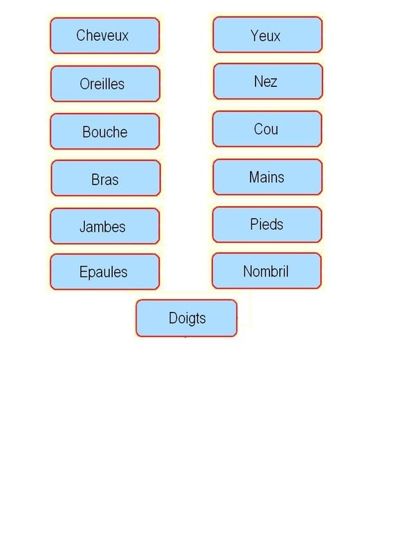 Gabarit 2 - Les parties du corps humain à placer