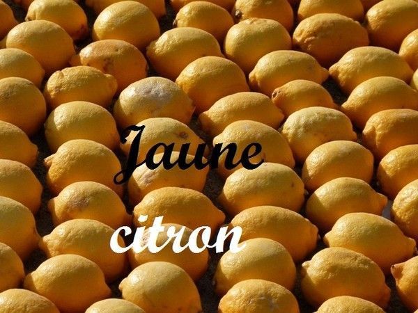 activité manuelle : les citrons et les oranges, chanson