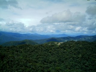 view from the top of Brinchang Mount