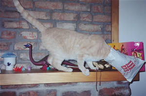 Anna with Apatasaurus and origami cranes, ca. 1991