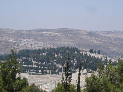 Jerusalem view