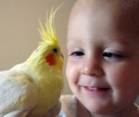 Boy Meets Bird