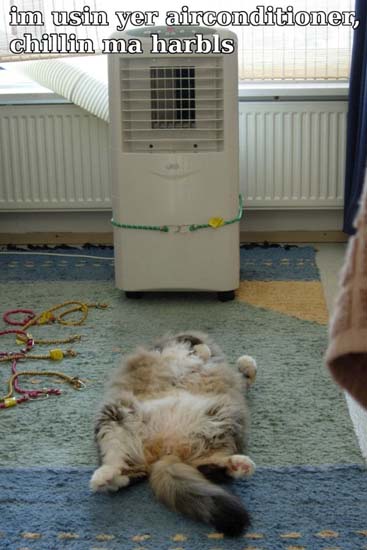 im usin yer airconditioner, chillin ma harbls