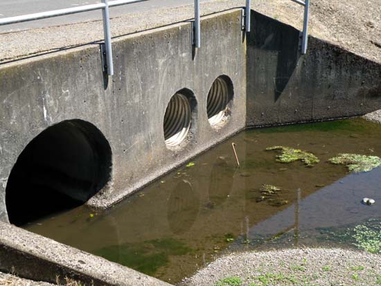 Crowbar in slimy water