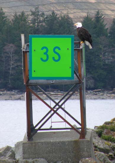 Eagle on green marker 3S