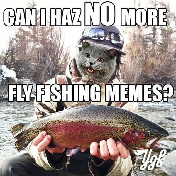 Funny fly fishing meme photo