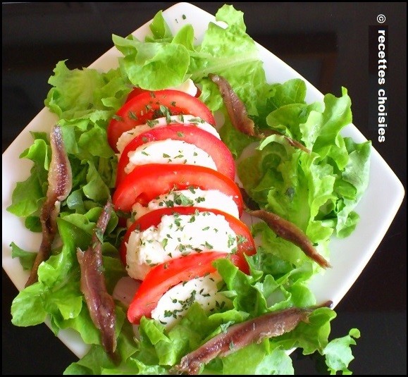 Tomate  et  Mozzarella  ( 2/2 )