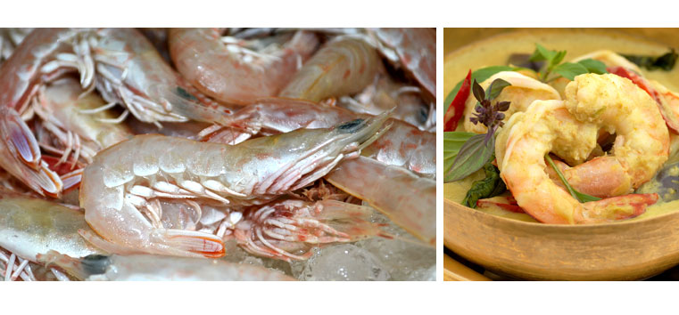 Premium West Australian Coral Prawns