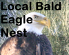 **6aWatching Eagle Nest