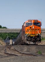 BNSF 3929