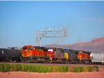 BNSF 231 and CSXT 94