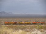 BNSF 4312 West