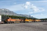 BNSF 4861