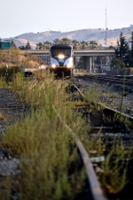 Amtrak 955