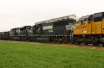 NS 6679