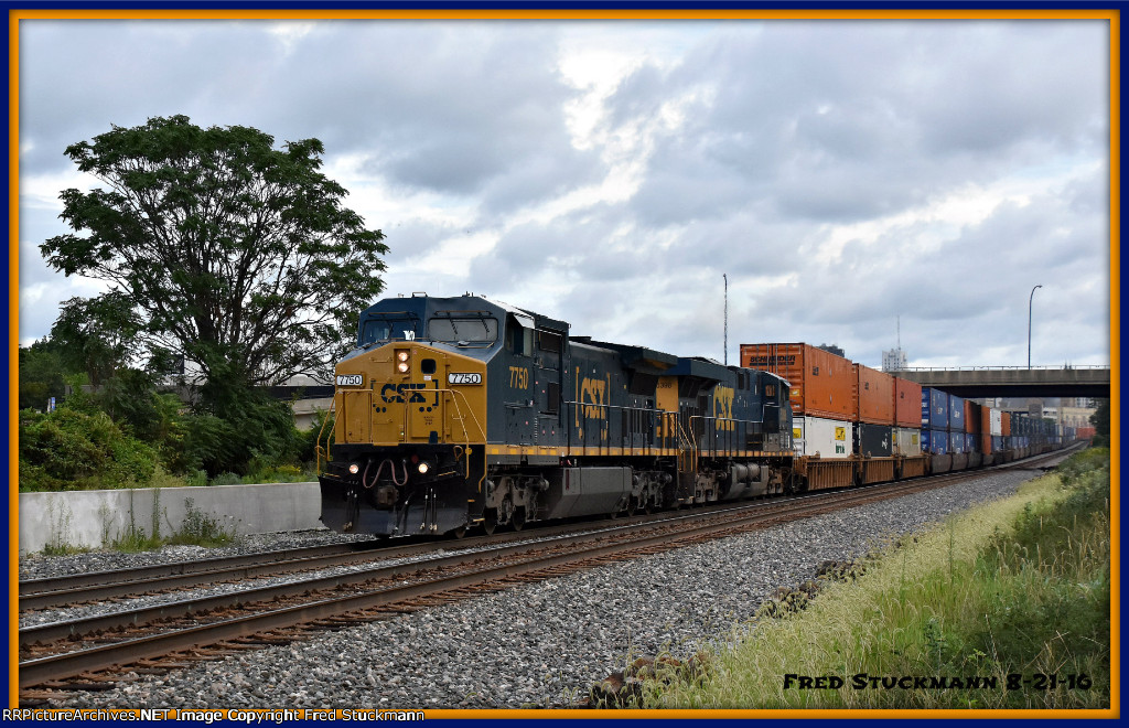 CSX 7750 and my tree.