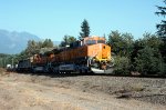 BNSF 4838