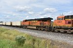 BNSF 7461