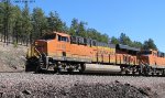 BNSF 8165