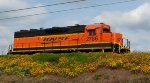 BNSF 2786