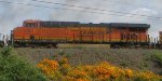 BNSF 4201