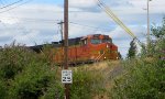 BNSF 5371