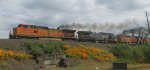 BNSF 5474-CSX 7864-BNSF 4201