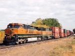 BNSF 1019