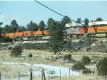 East and westbound trains meet north of Williams 