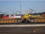 A warbonnet & bluebonnet together