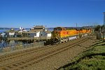 BNSF 4995 S/B