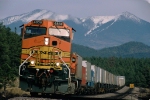 BNSF 4838 West