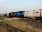 NS 2564 and NS 2646