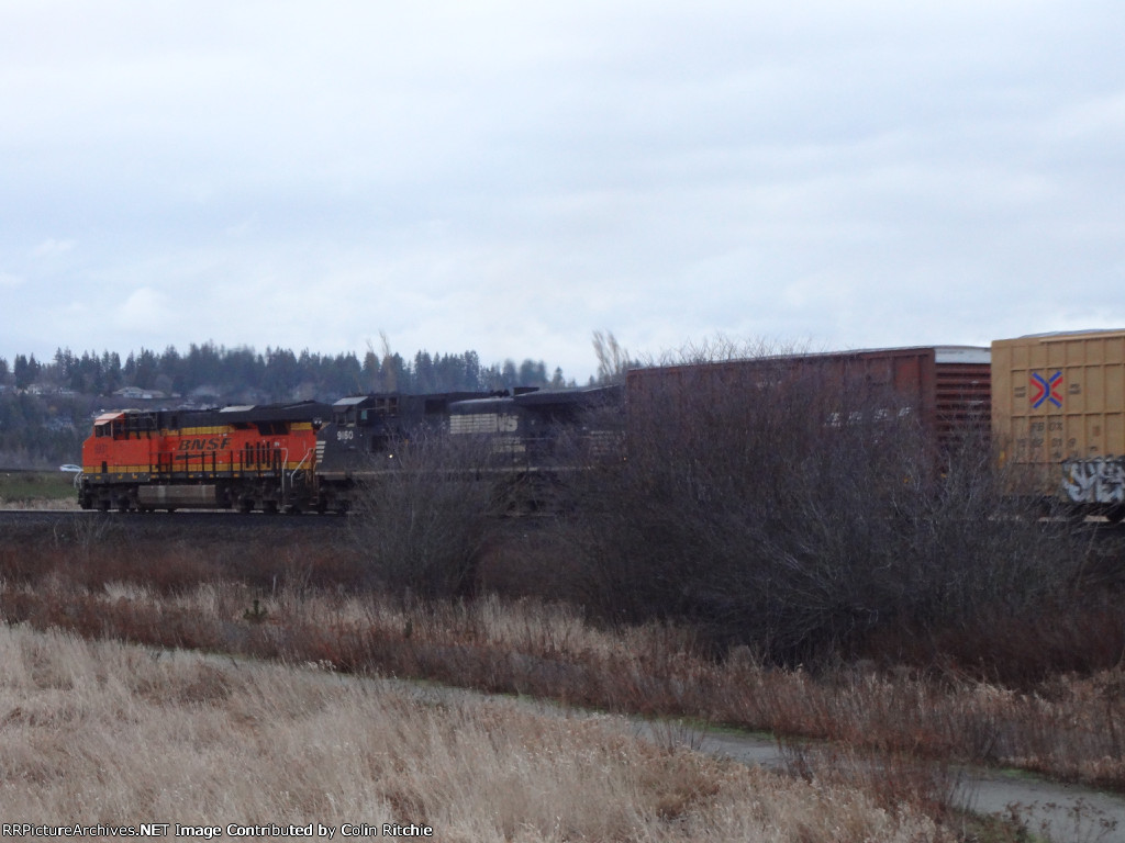 BNSF 6931/NS 9160 N/B through Mud Bay Park, just coming off of Mud Bay Crossing  