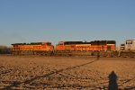 BNSF 9079 Roster shot.