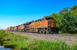 BNSF 3933 