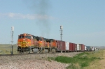 BNSF 4510  803 and 4560