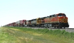 BNSF 5446