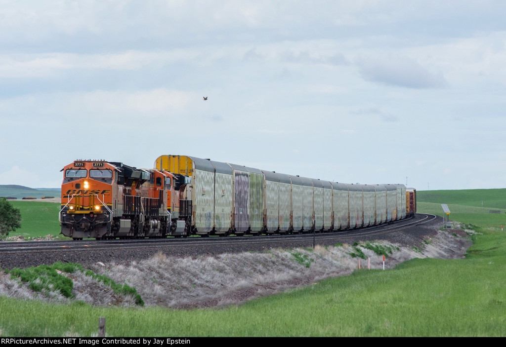 BNSF 3771 leads a manifest west near Ethridge 