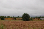 Southbound Union Pacific Railroad Unit Grain Train