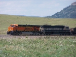 BNSF 5785