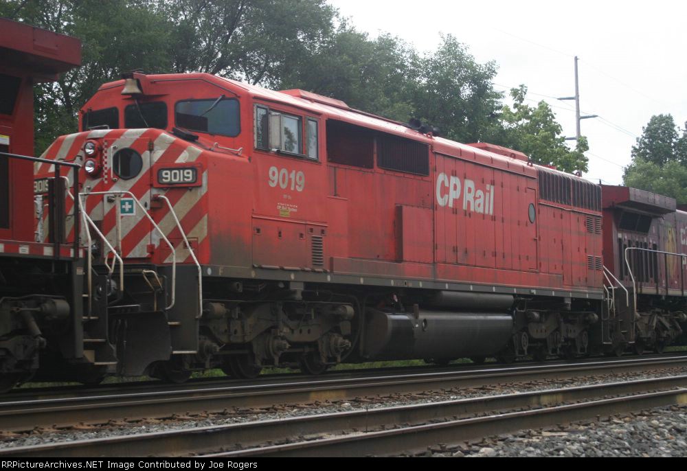 CP 9019